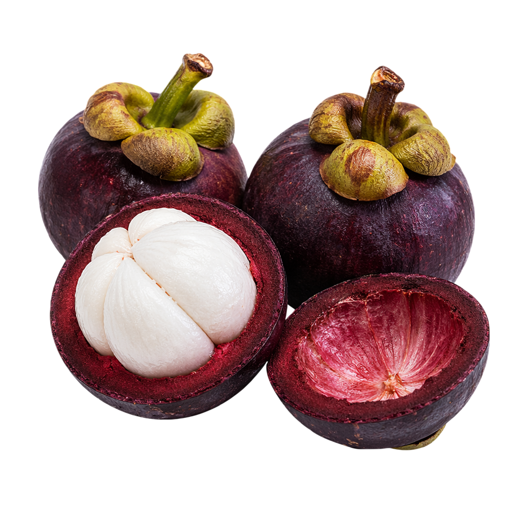 Fresh Mangosteen