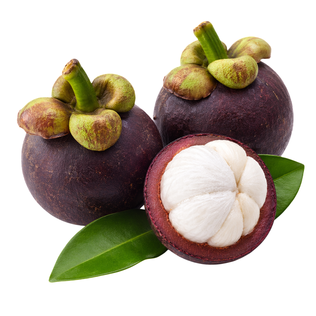 Mangosteen Box