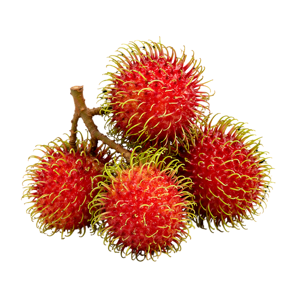 Fresh Rambutan